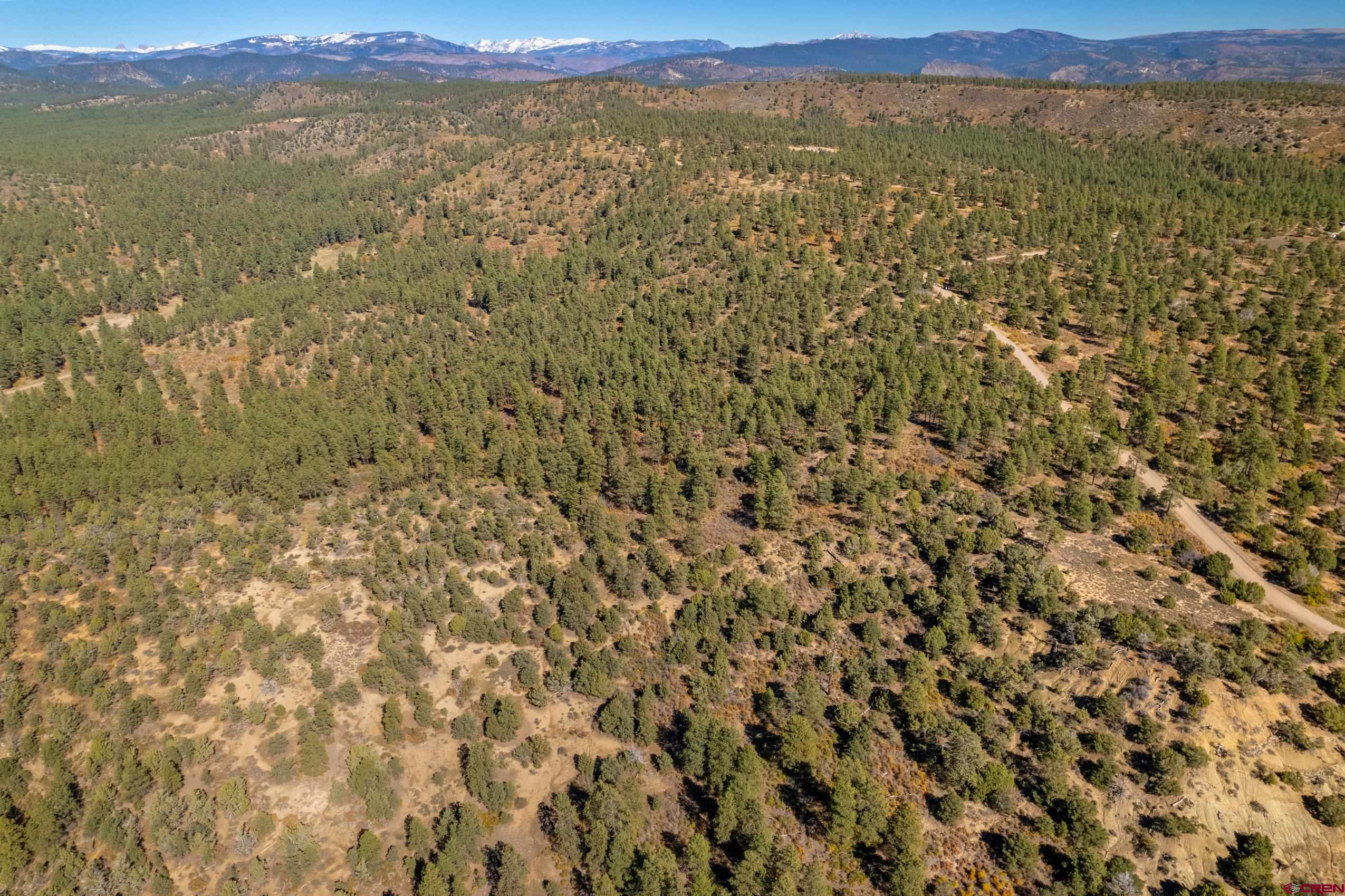 Lot 3 Foxfire Ranch Bayfield, CO 81122 - Photo 6 of 19 a view of a field with an ocean