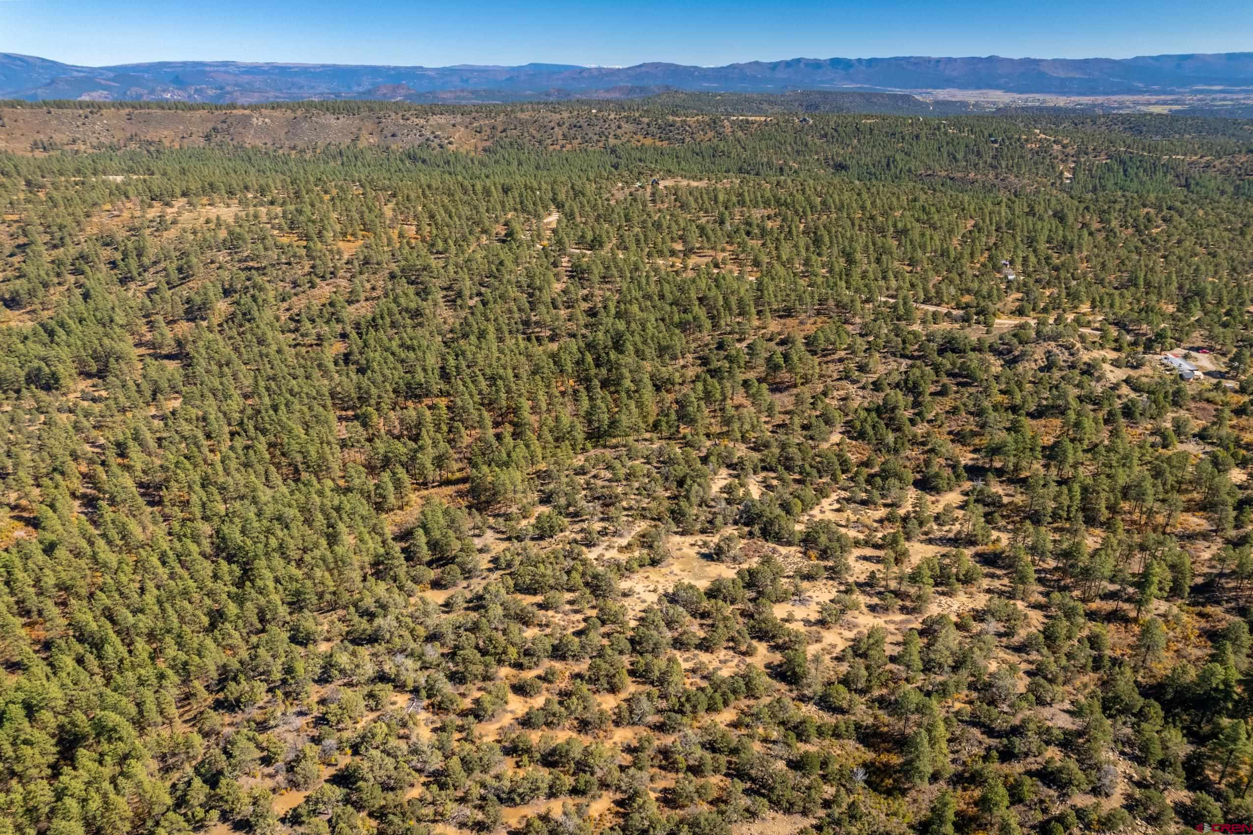 Lot 3 Foxfire Ranch Bayfield, CO 81122 - Photo 7 of 19 a view of a city with an outdoor space