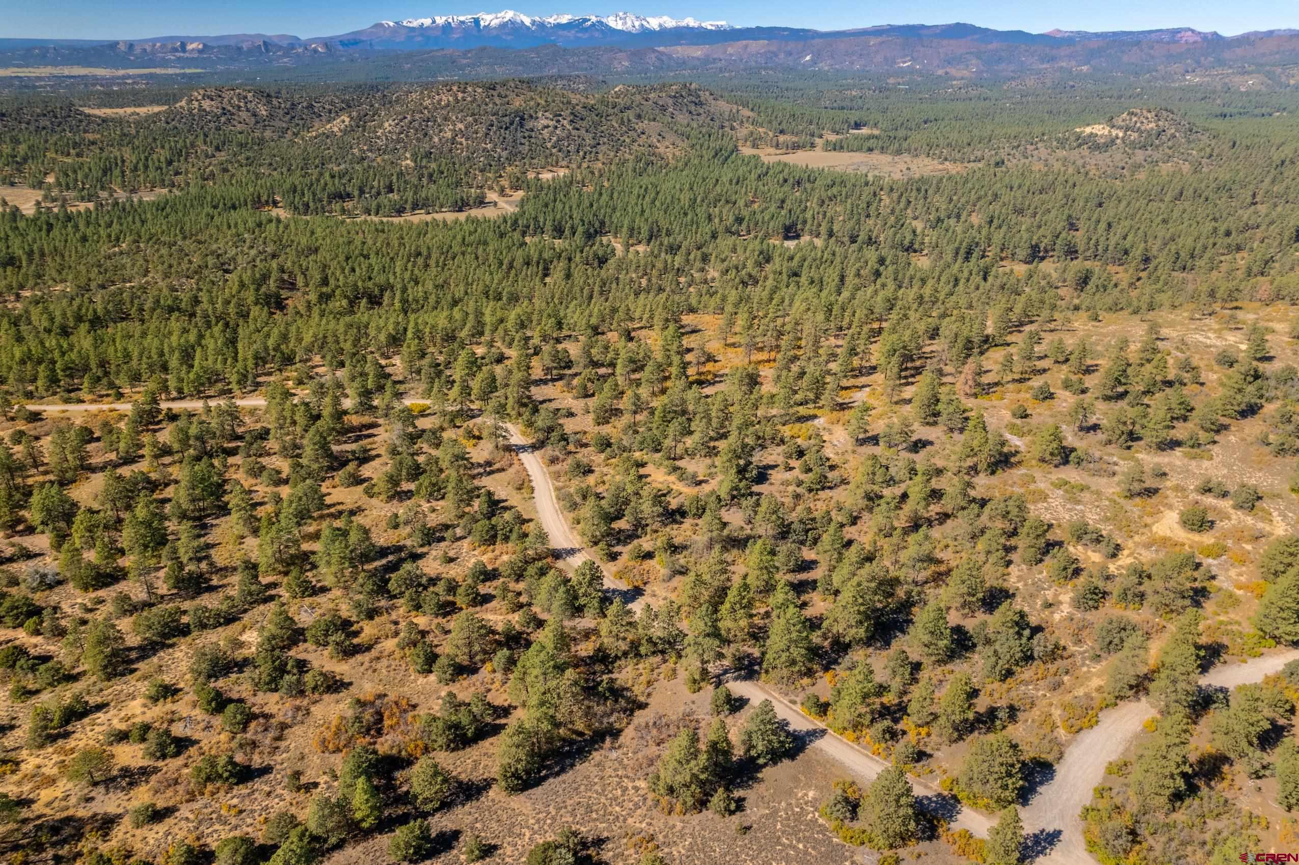 Lot 3 Foxfire Ranch Bayfield, CO 81122 - Photo 8 of 19 an aerial view of residential houses with outdoor space and mountain view