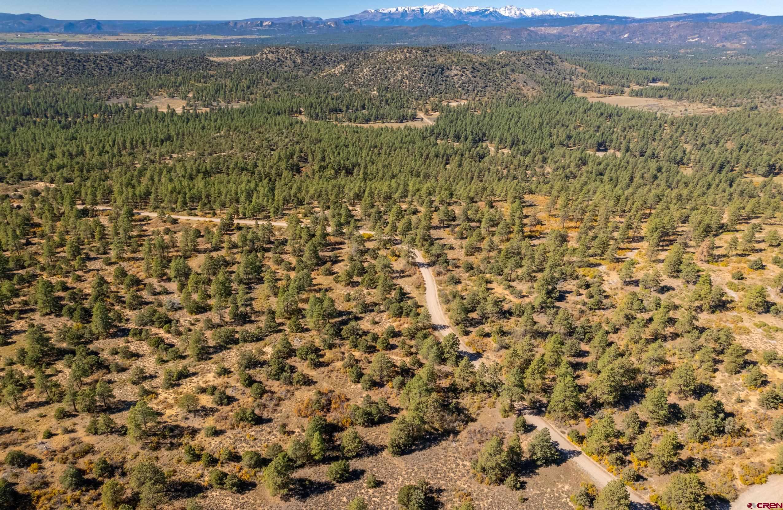 Lot 3 Foxfire Ranch Bayfield, CO 81122 - Photo 9 of 19