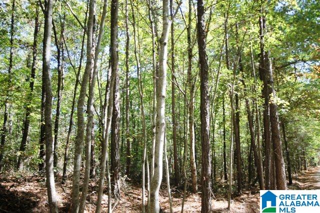 0 County Road 928, Unit 19 Delta, AL 36258 - Photo 30 of 43