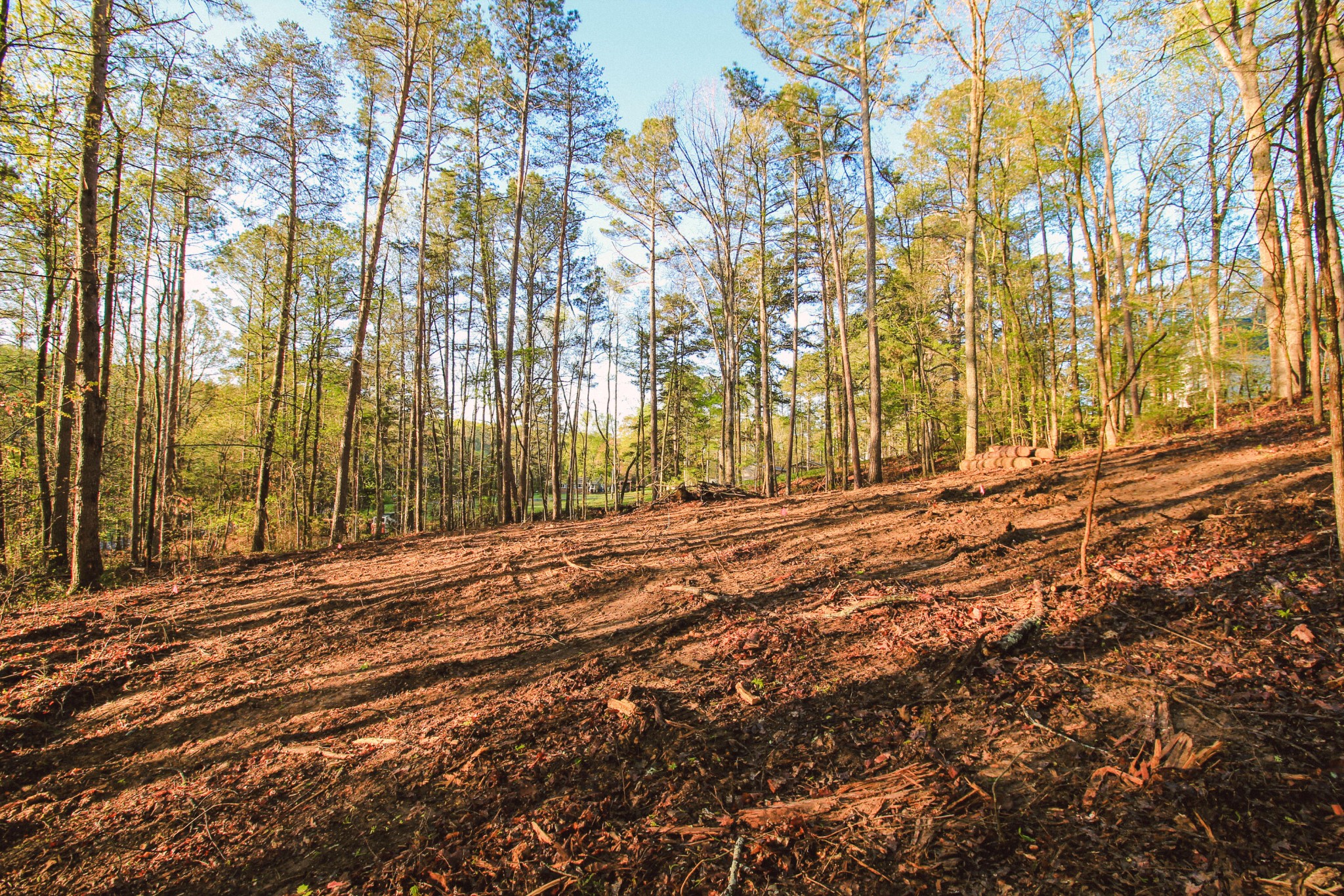 0 Old Alabama Road Southwest McDonald, TN 37353 - Photo 6 of 10 Gallery Image 6