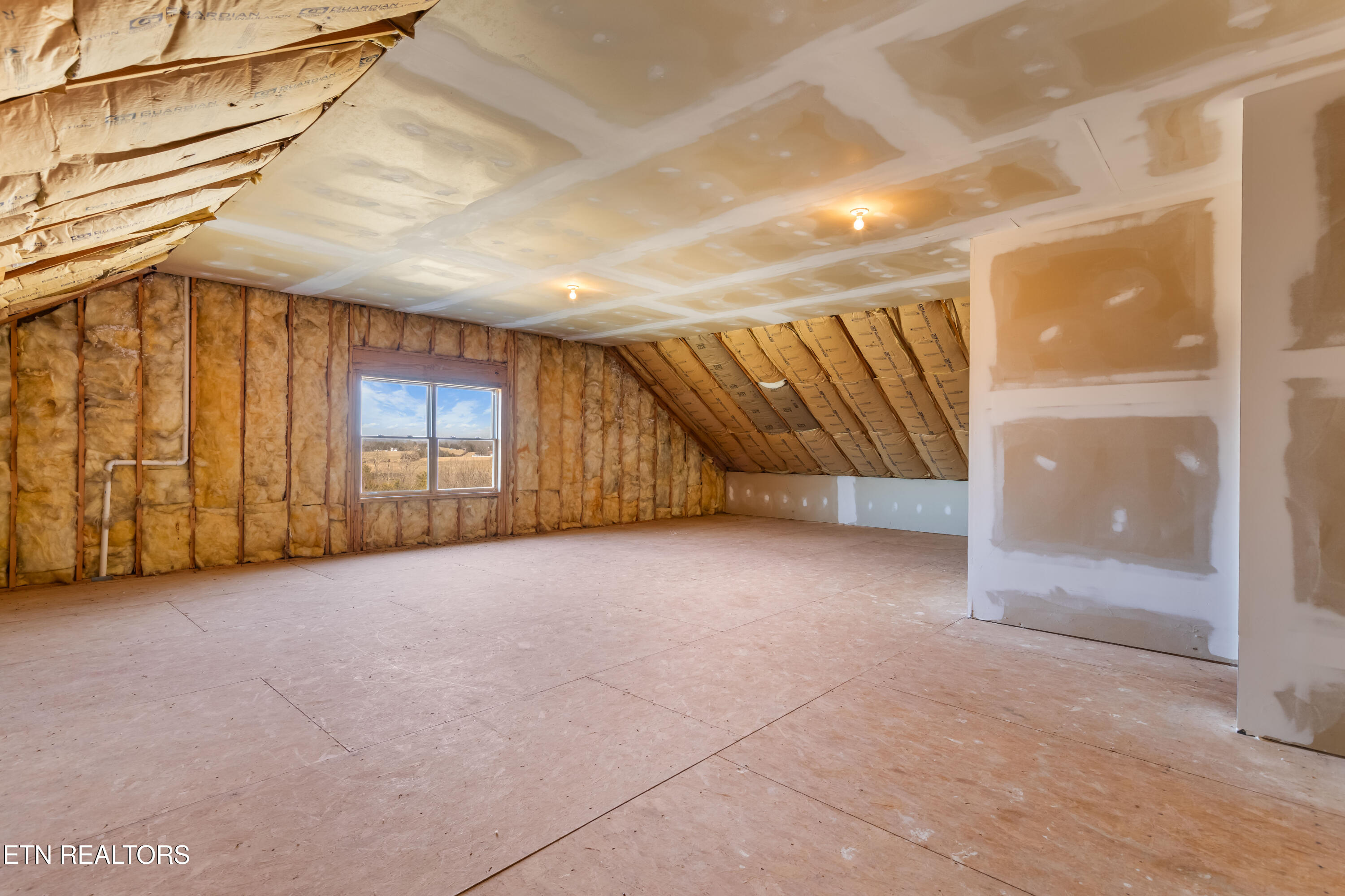 4300 Roberts Road Corryton, TN 37721 - Photo 44 of 50 030A9269