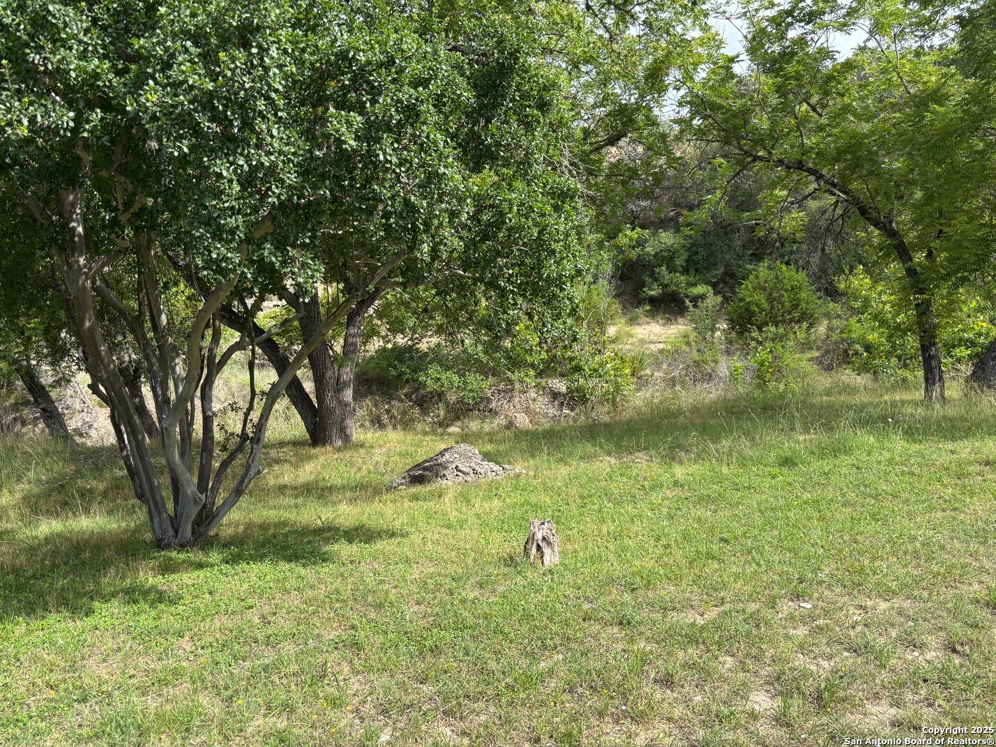 952 Madrona Road Pipe Creek, TX 78063 - Photo 20 of 33 a view of a garden with a tree