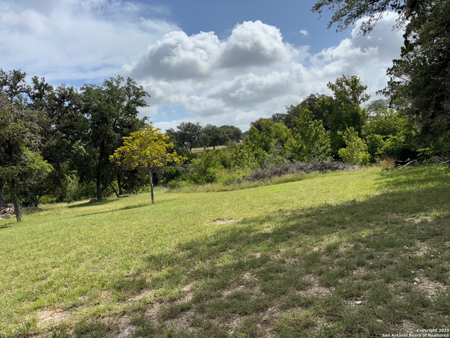 952 Madrona Road Pipe Creek, TX 78063 - Photo 33 of 33 a view of field with trees in the background