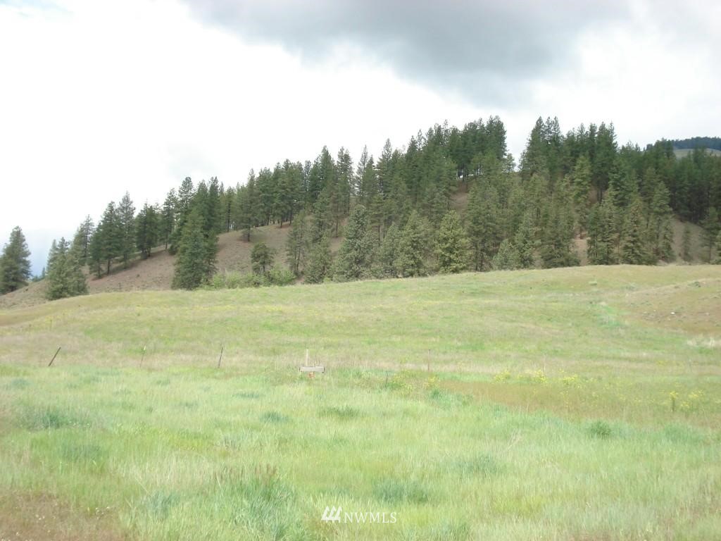 -tract C Customs Road Curlew, WA 99118 - Photo 1 of 1 Gallery Image 1