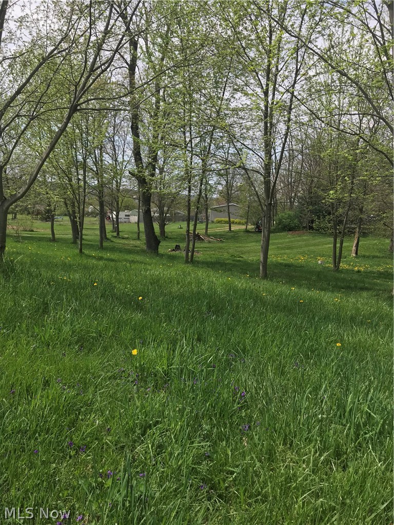 85 Reedsburg Road Wooster, OH 44691 - Photo 18 of 20 A view coming in from the shared drive