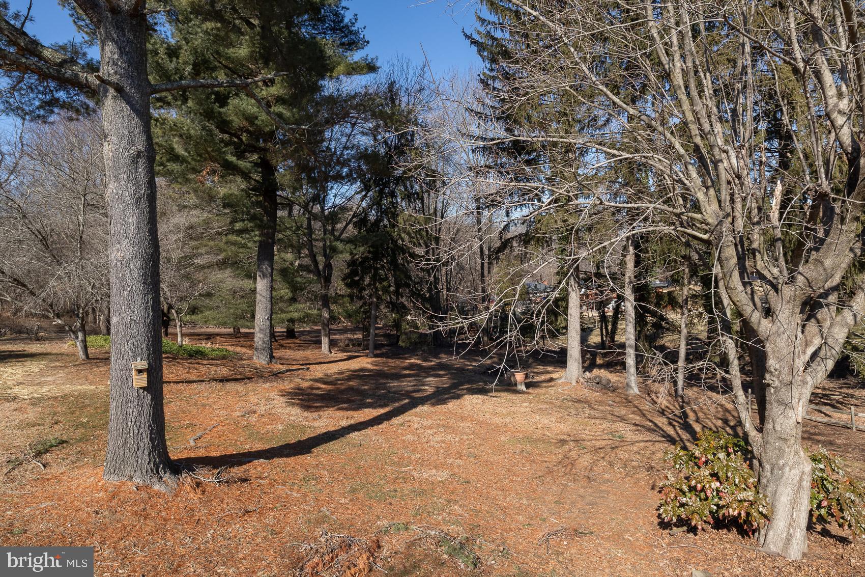 2308 Carlo Road Fallston, MD 21047 - Photo 45 of 53 a view of a yard with wooden fence