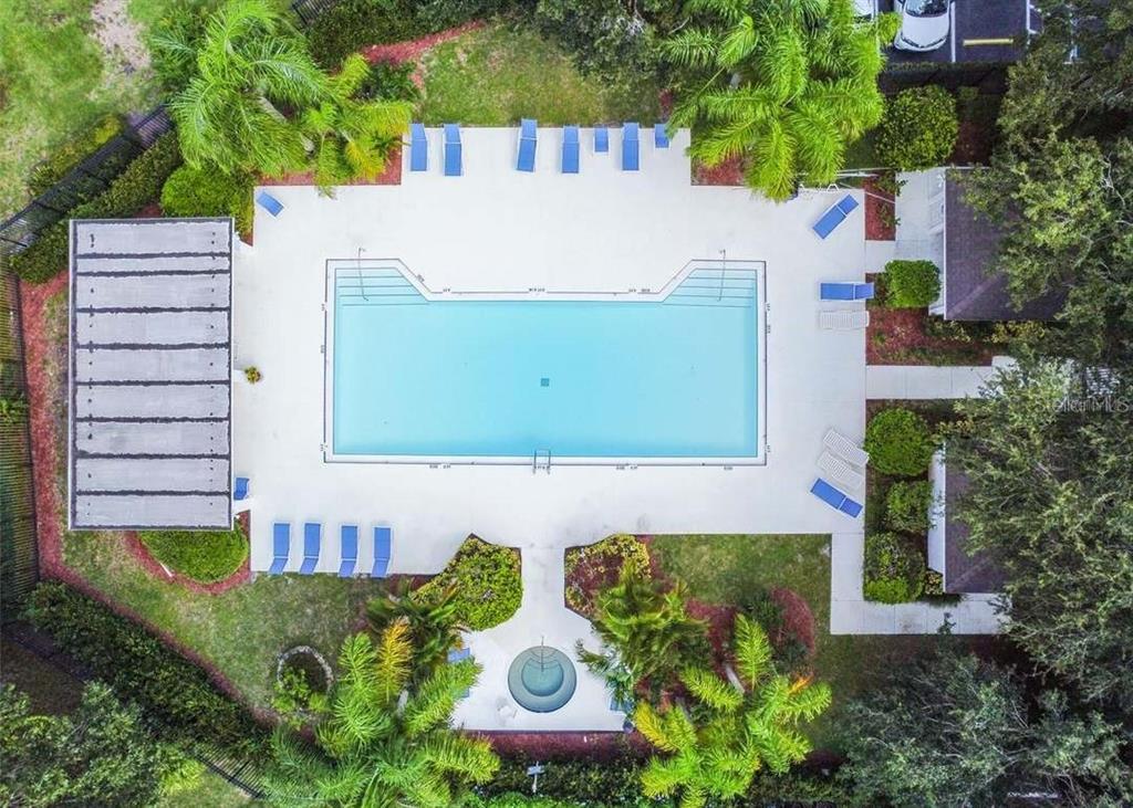 1129 Daleside Lane New Port Richey, FL 34655 - Photo 34 of 43