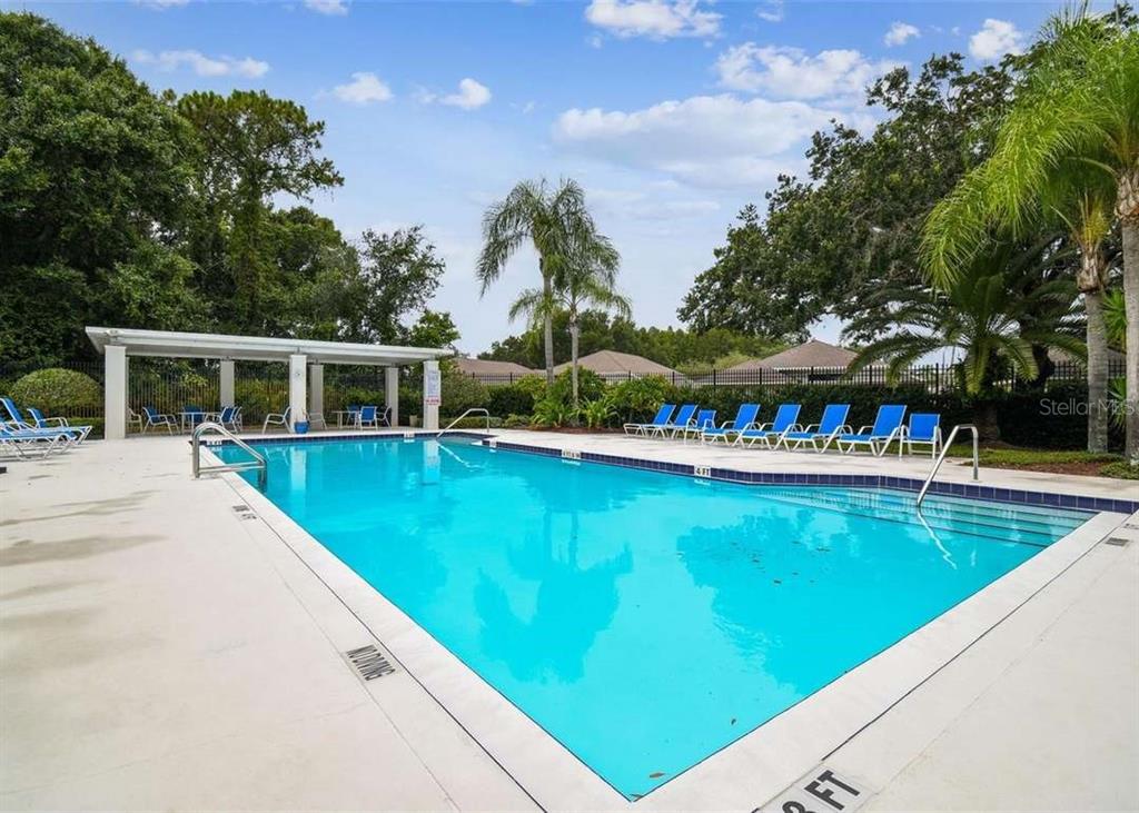 1129 Daleside Lane New Port Richey, FL 34655 - Photo 36 of 43