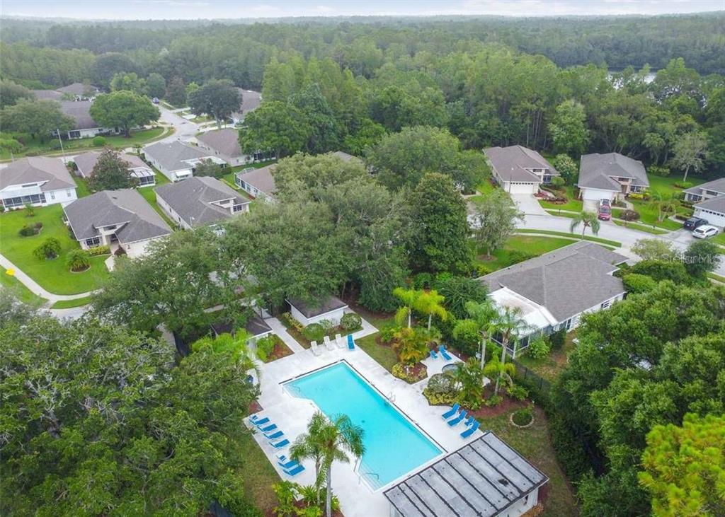 1129 Daleside Lane New Port Richey, FL 34655 - Photo 39 of 43