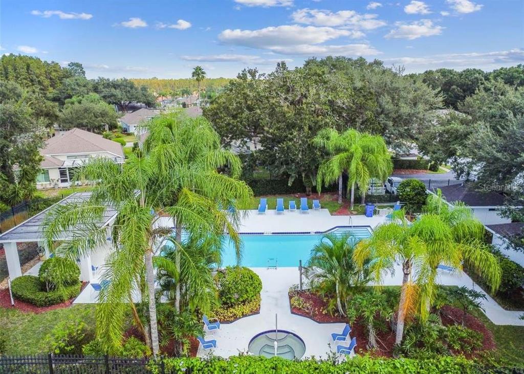 1129 Daleside Lane New Port Richey, FL 34655 - Photo 40 of 43