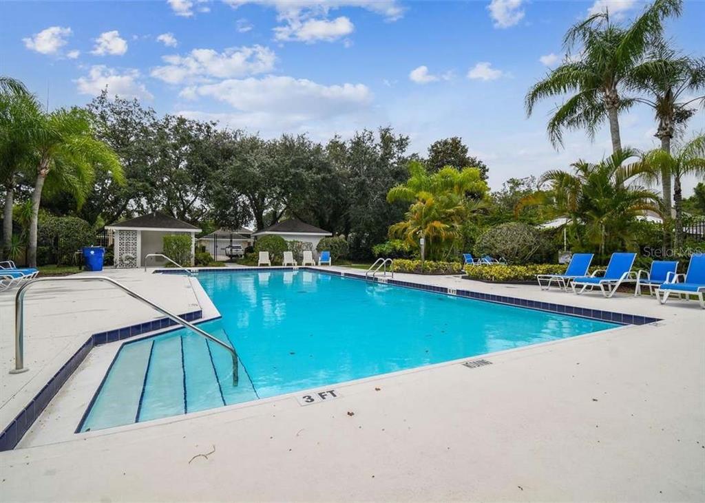 1129 Daleside Lane New Port Richey, FL 34655 - Photo 42 of 43