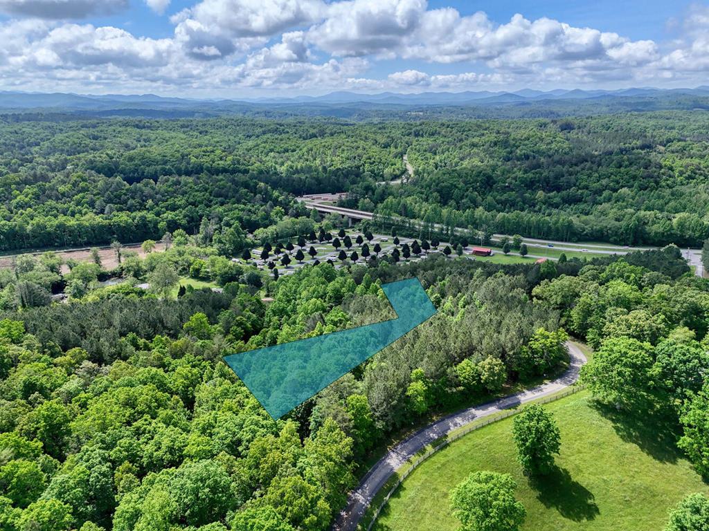 a view of a green field with lots of bushes
