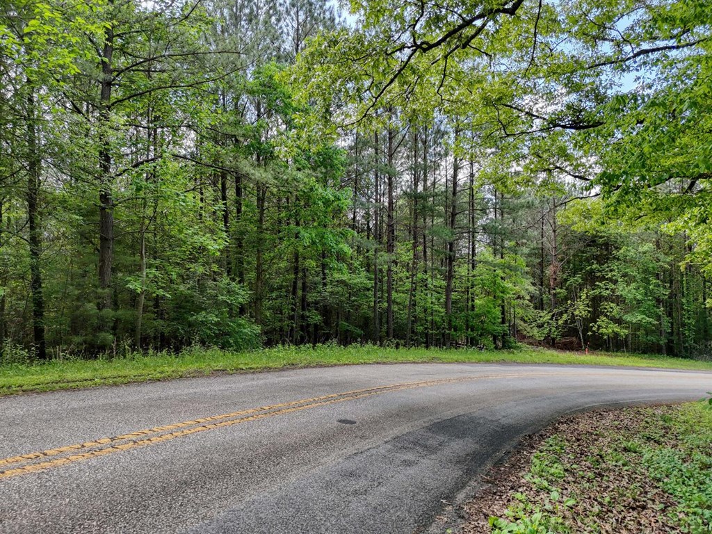 Lot E Hilltop Road Murphy, NC 28906 - Photo 12 of 26 a view of a yard with a trees