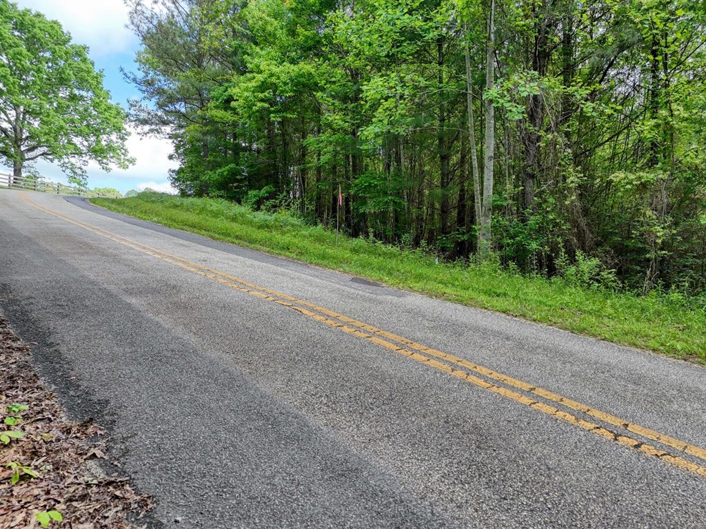 Lot E Hilltop Road Murphy, NC 28906 - Photo 13 of 26 a view of a yard with a large trees