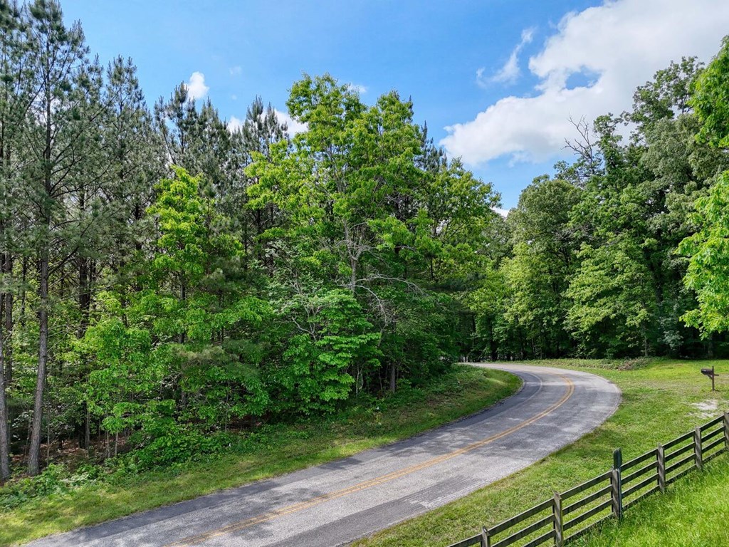 Lot E Hilltop Road Murphy, NC 28906 - Photo 15 of 26 a view of a yard with plants and a trees