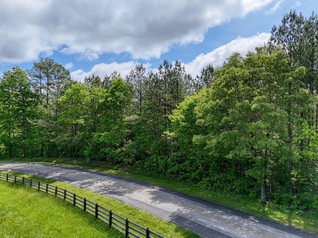 Lot E Hilltop Road Murphy, NC 28906 - Photo 16 of 26 a view of a yard with a house in the background