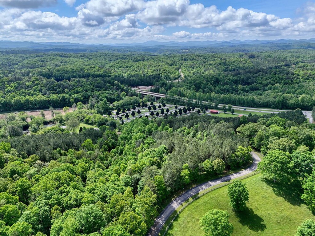 Lot E Hilltop Road Murphy, NC 28906 - Photo 17 of 26 a view of a green field with lots of bushes