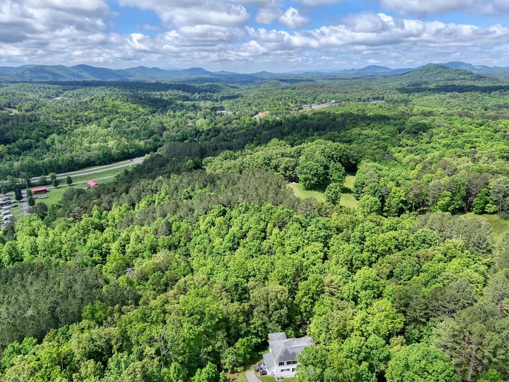 Lot E Hilltop Road Murphy, NC 28906 - Photo 19 of 26 a view of a lush green forest with a street