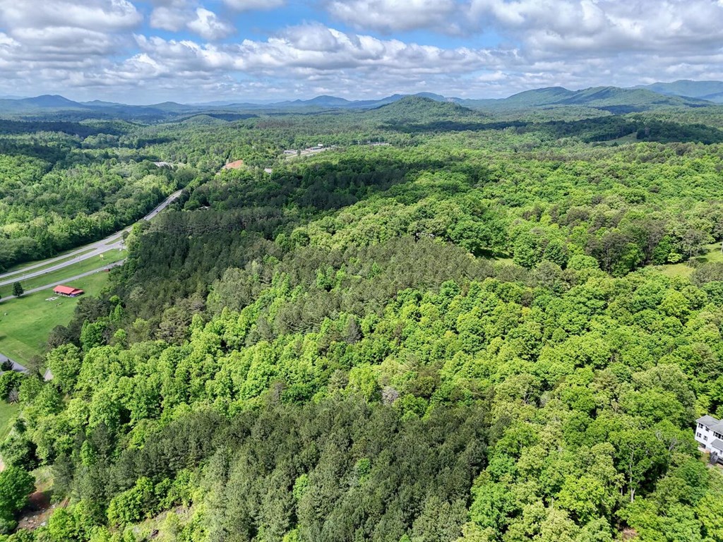 Lot E Hilltop Road Murphy, NC 28906 - Photo 20 of 26 a view of a lush green field