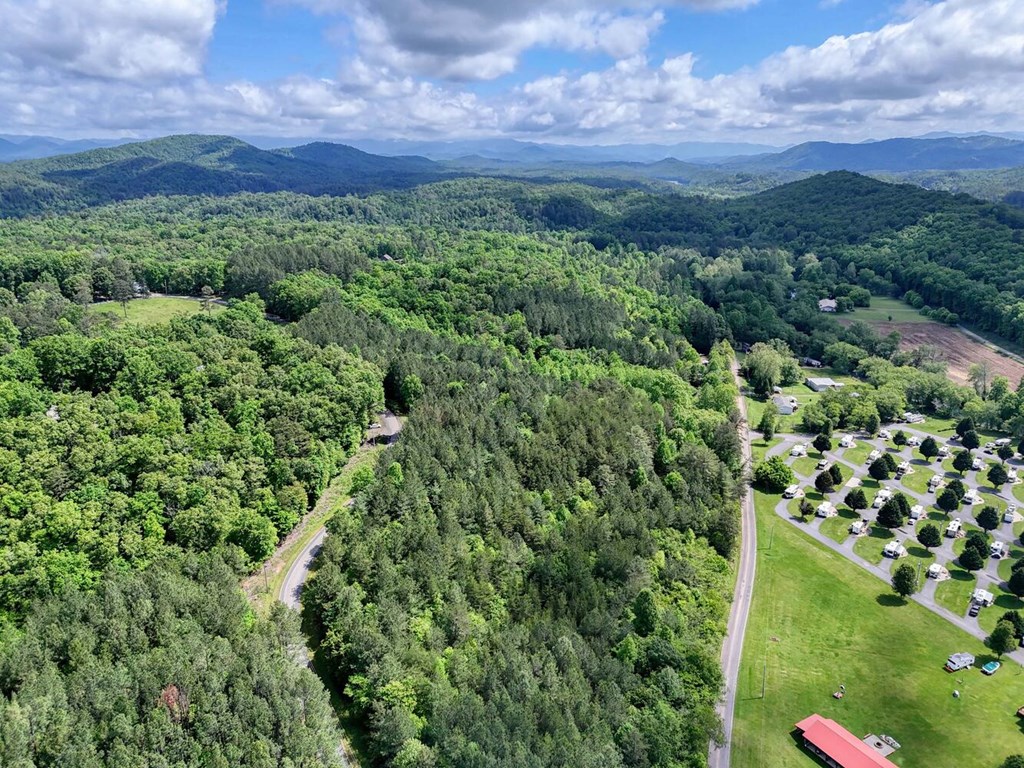 Lot E Hilltop Road Murphy, NC 28906 - Photo 24 of 26 a view of a large yard with a sink