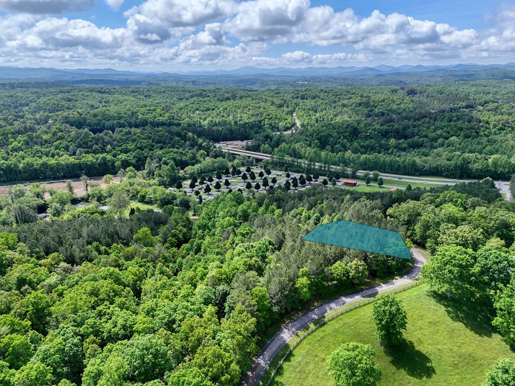 Lot E Hilltop Road Murphy, NC 28906 - Photo 3 of 26 a view of a green field with lots of bushes