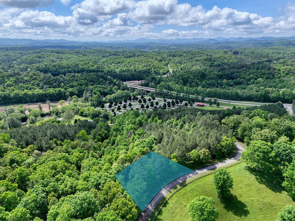 Lot E Hilltop Road Murphy, NC 28906 - Photo 6 of 26 a view of a green field with lots of bushes