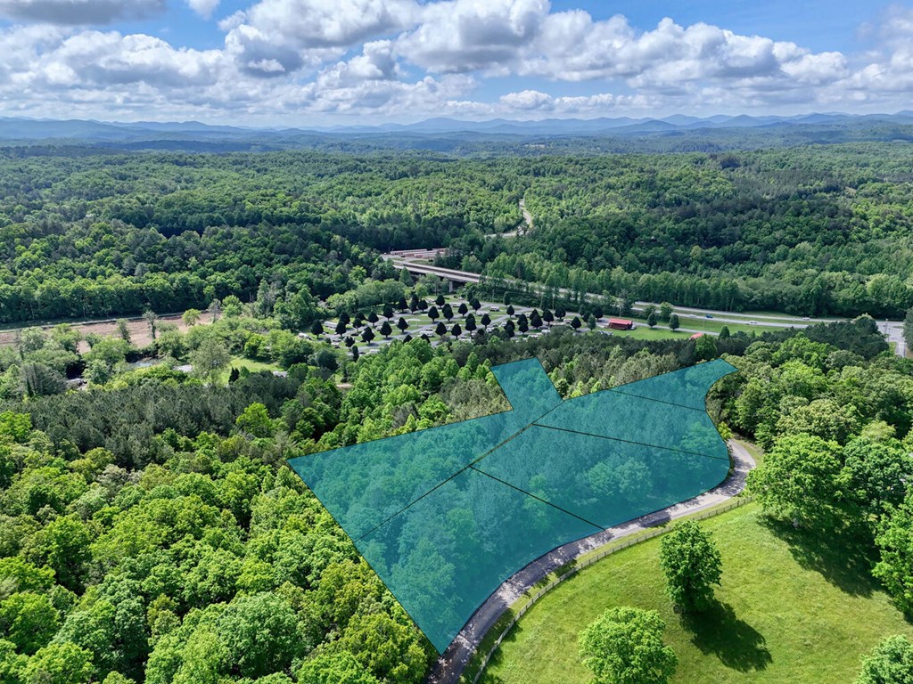 Lot E Hilltop Road Murphy, NC 28906 - Photo 7 of 26 a view of a lush green forest