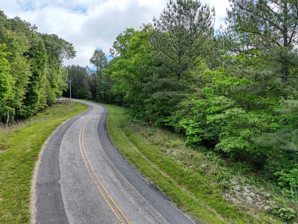 Lot E Hilltop Road Murphy, NC 28906 - Photo 8 of 26 a view of street view with a yard