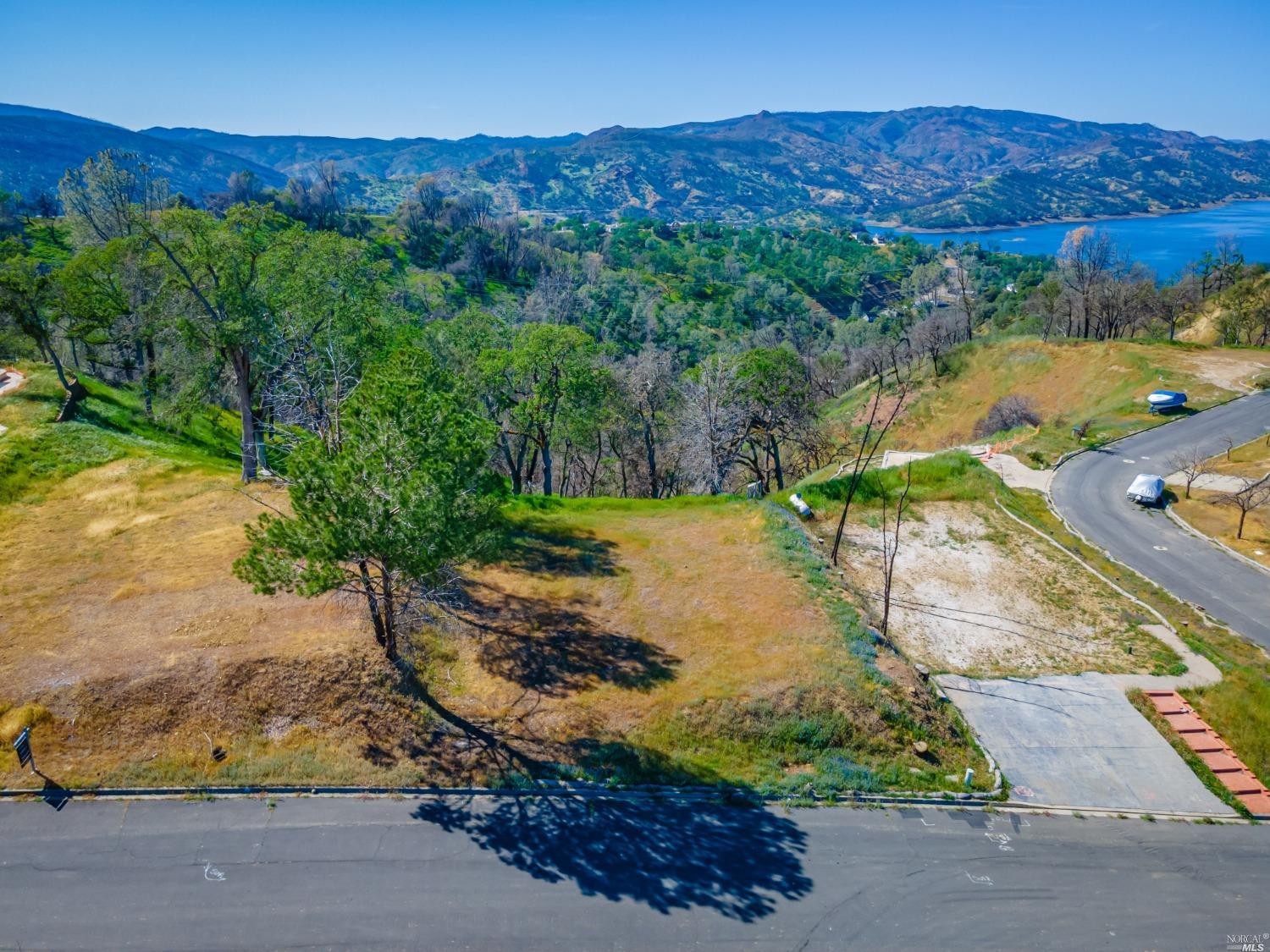 a view of a backyard with a garden