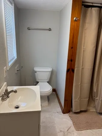 a bathroom with a sink a toilet and a shower