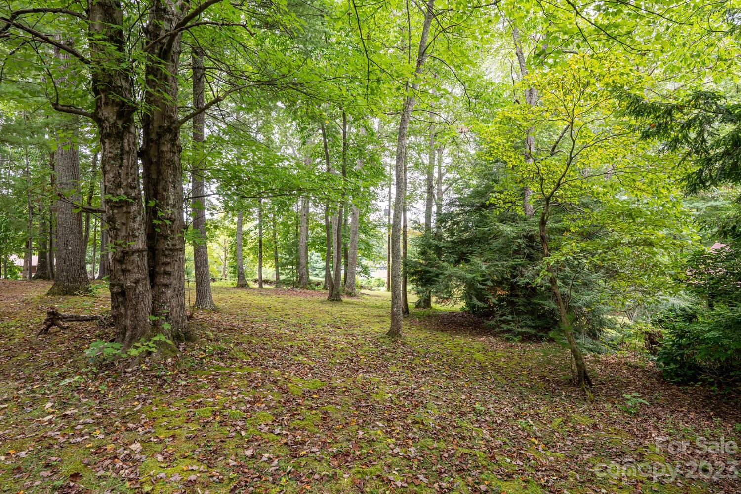 166 Baldwin Road Arden, NC 28704 - Photo 46 of 48 Gallery Image 46