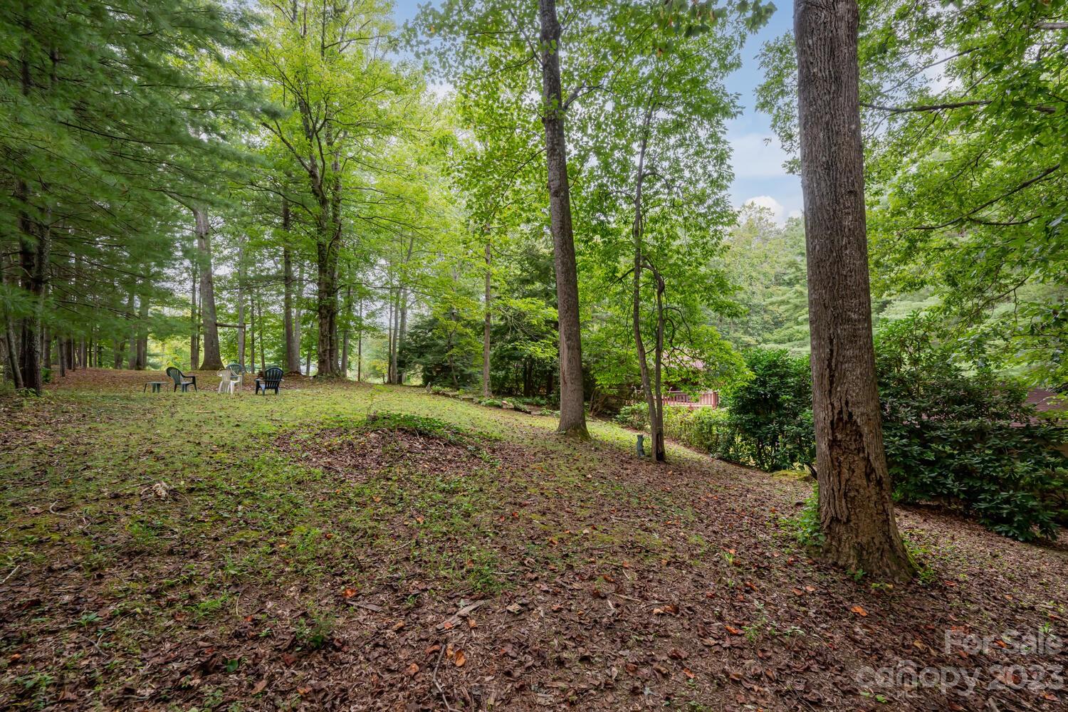 166 Baldwin Road Arden, NC 28704 - Photo 48 of 48 Gallery Image 48
