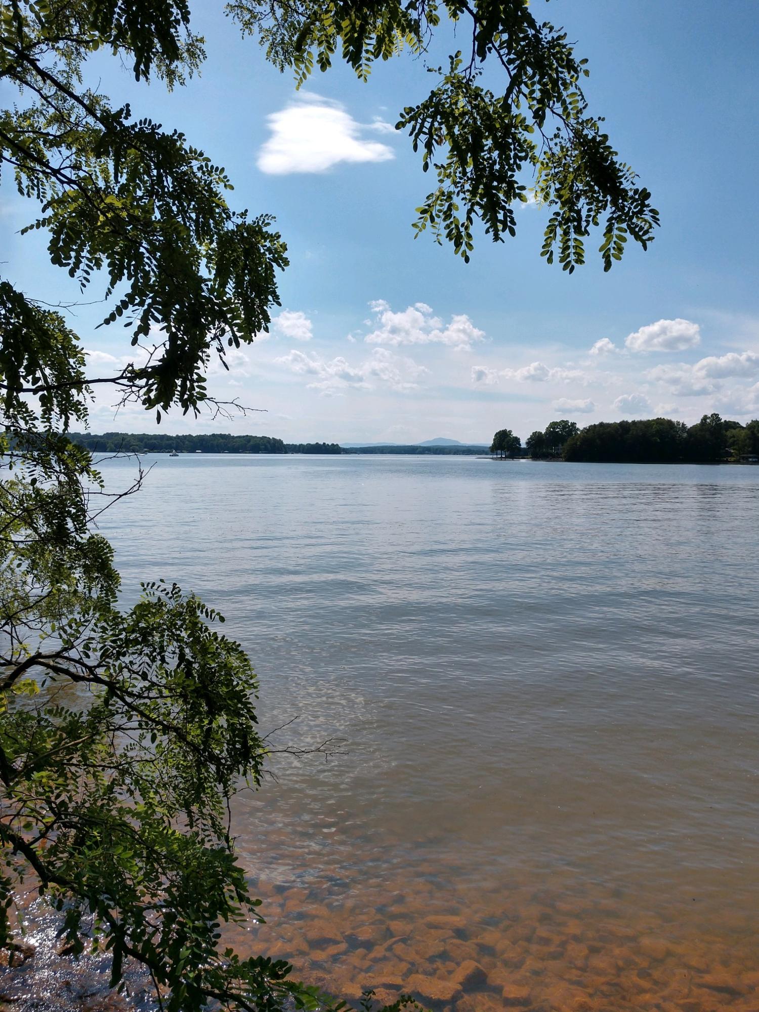 548 Tranquility Road Moneta, VA 24121 - Photo 1 of 3 Beautiful view of the lake