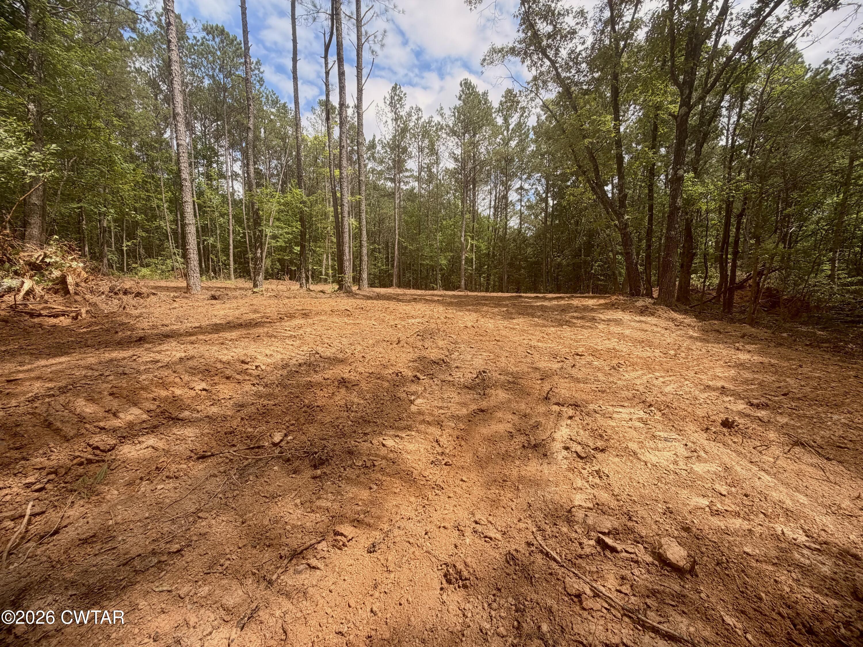 0 Old Lula Road Reagan, TN 38368 - Photo 2 of 18 IMG_4597