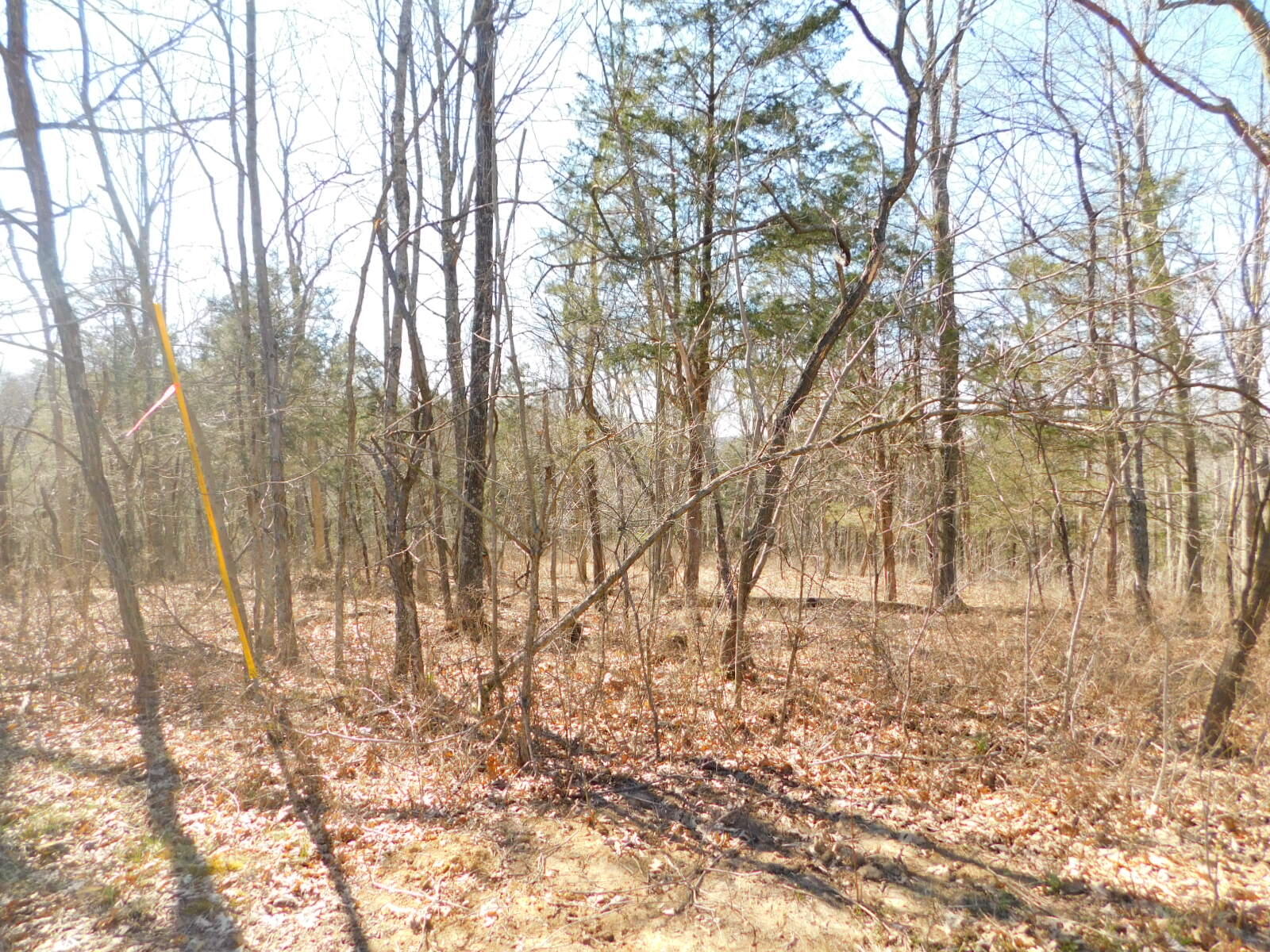 1 Turkey Ridge Road Corinth, KY 41010 - Photo 19 of 38
