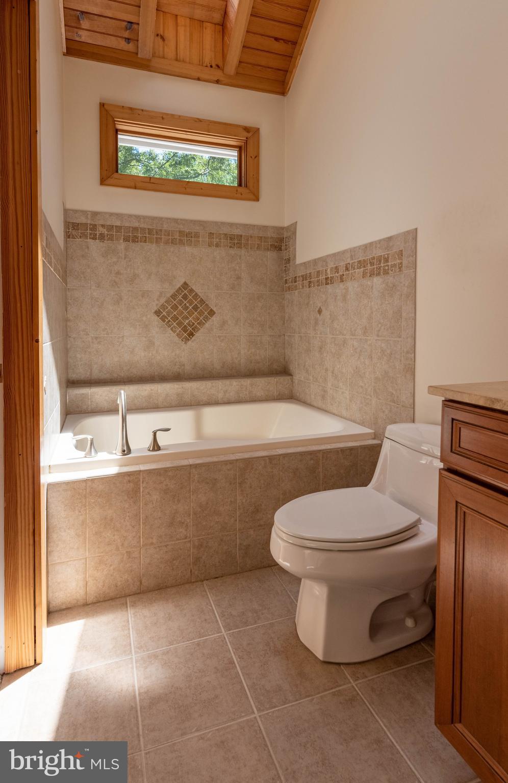 3930 Sixes Road Prince Frederick, MD 20678 - Photo 18 of 61 a bathroom with a toilet and a bathtub