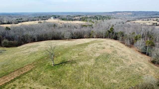 2245 Cheek Pulliam Road Royston, GA 30662 - Photo 4 of 17 a view of outside space and mountain view