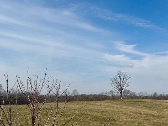 2245 Cheek Pulliam Road Royston, GA 30662 - Photo 8 of 17 a view of ocean with a large mountain