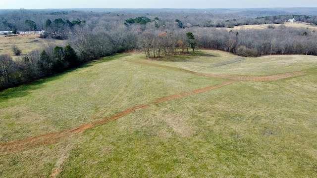 2245 Cheek Pulliam Road Royston, GA 30662 - Photo 9 of 17 a view of a backyard of a house