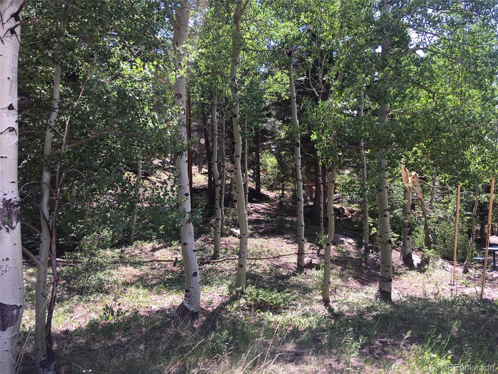 Aspen Road La Veta, CO 81055 - Photo 1 of 7 Gallery Image 1