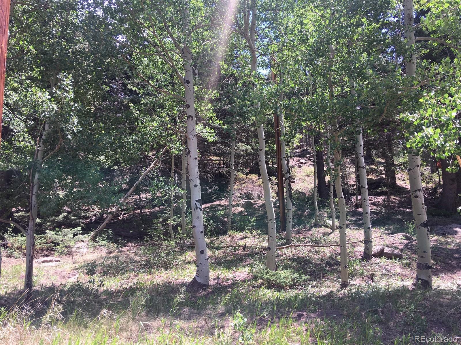 Aspen Road La Veta, CO 81055 - Photo 5 of 7 Gallery Image 5