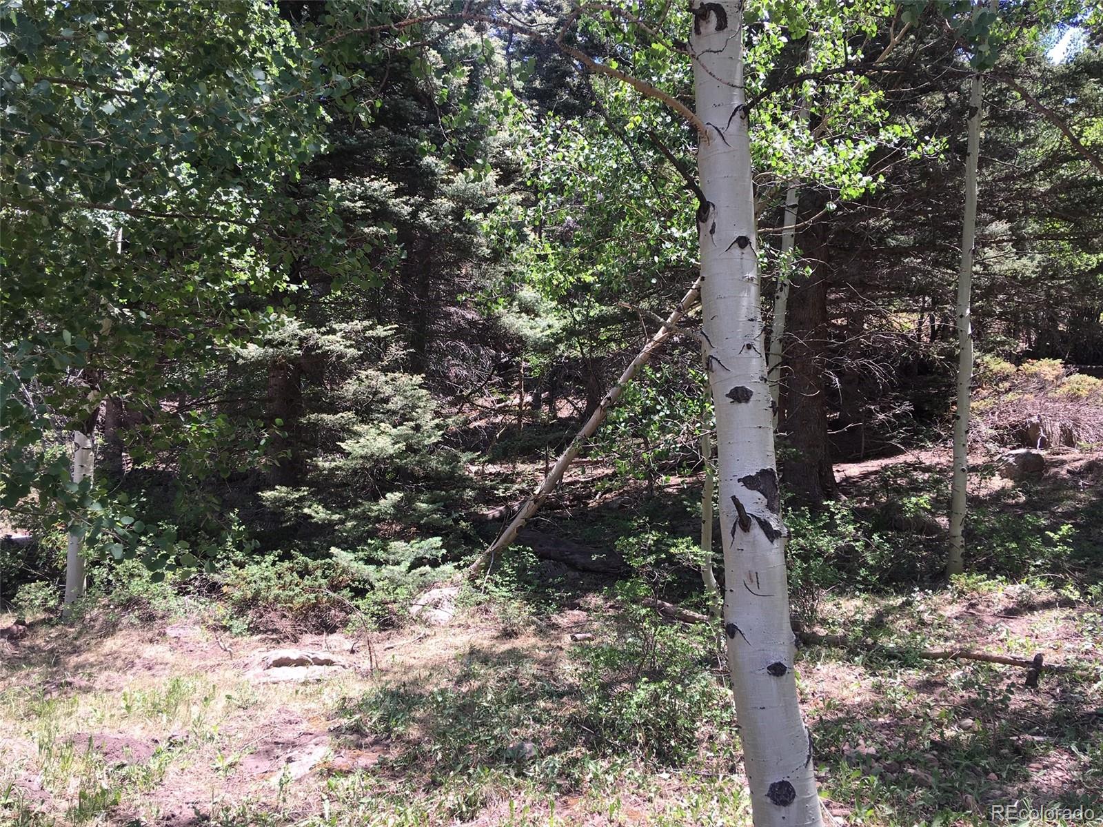 Aspen Road La Veta, CO 81055 - Photo 6 of 7 Gallery Image 6