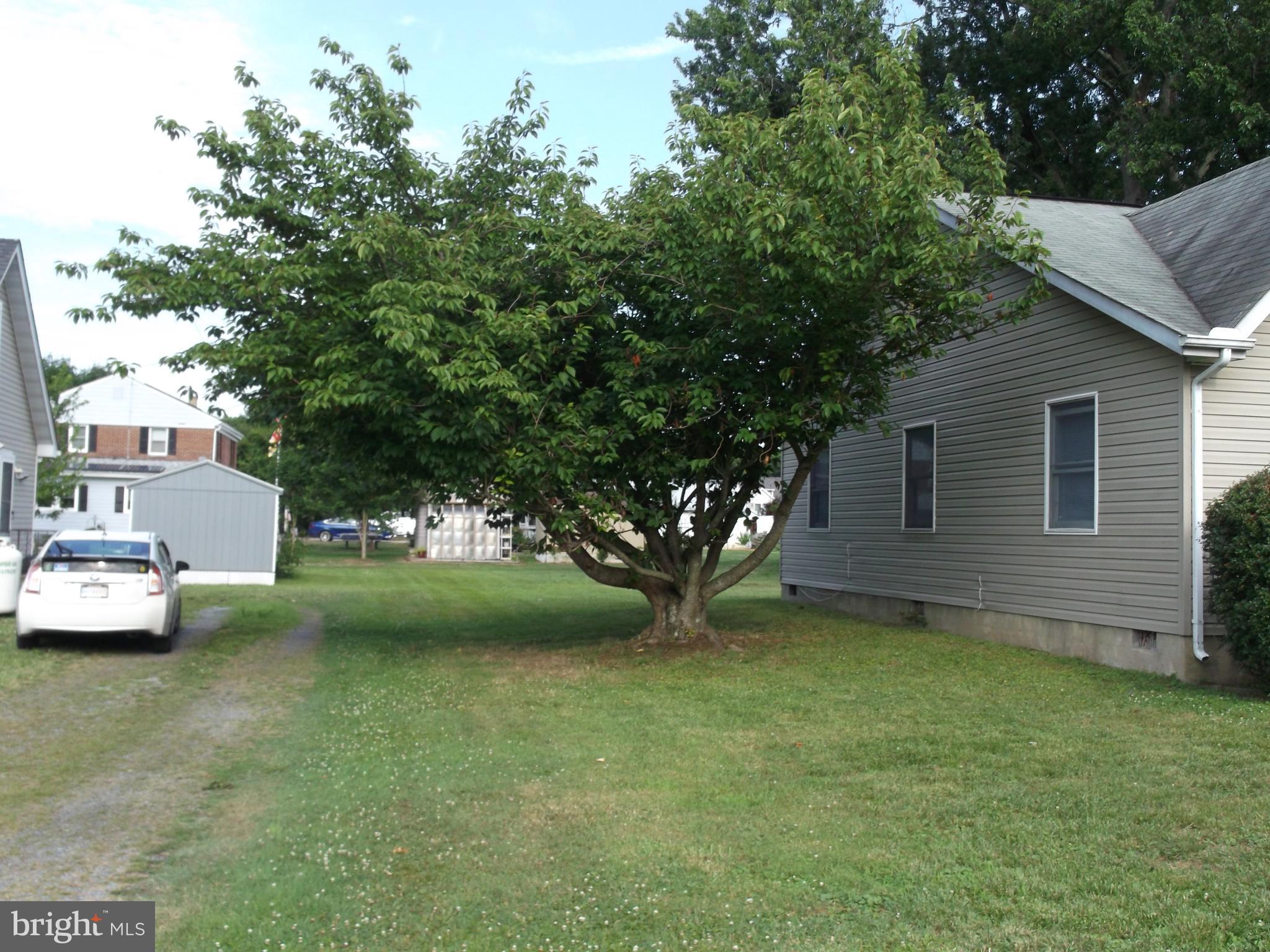 5845 Coleman Road Rock Hall, MD 21661 - Photo 3 of 11 Side Yard