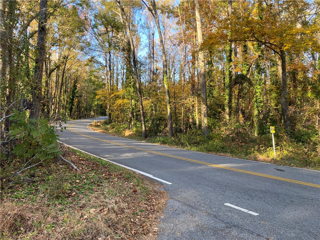 0 Brook Street Honea Path, SC 29654 - Photo 2 of 6
