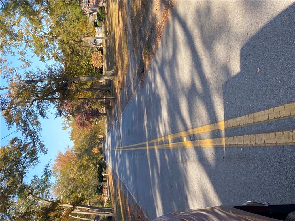 0 Brook Street Honea Path, SC 29654 - Photo 6 of 6