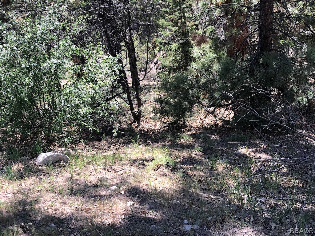 1280 Ridge Road Fawnskin, CA 92333 - Photo 1 of 6 Gallery Image 1