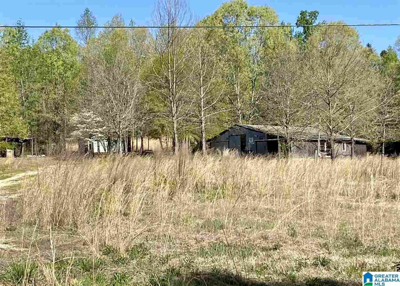 4201 Bristow Cove Road, Unit 1 Boaz, AL 35956 - Photo 18 of 23
