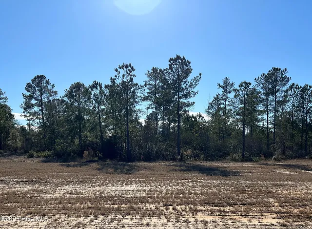 $268,000 | 2940 West Timber Crest Drive, Leland, NC 28451